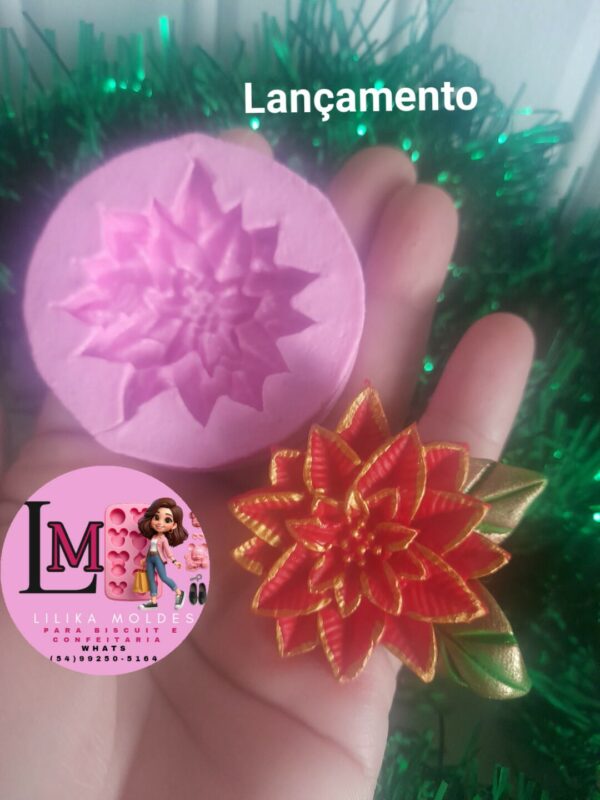 Flor de Natal